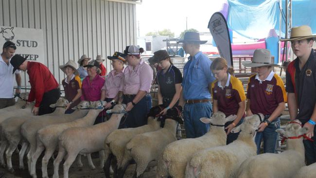 The school stud ewe display at the 2021 Warwick Show.