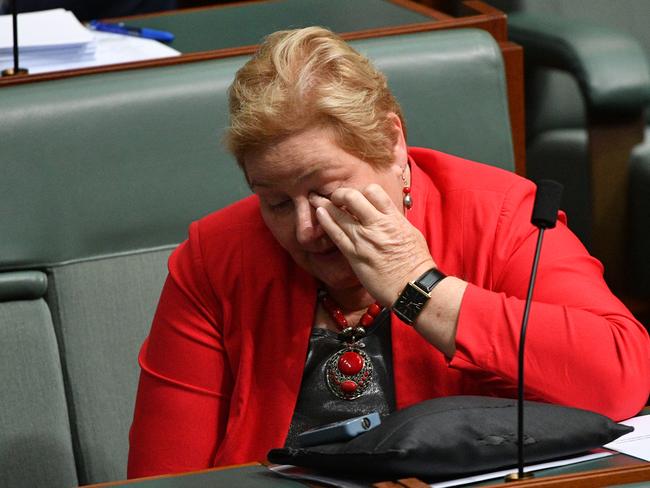 Ann Sudmalis will quit politics at the next election. Picture: AAP Image/Mick Tsikas