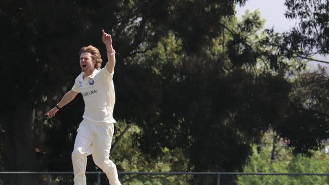 Tom Neate appeals for a wicket against Carlton. Picture: Carey Neate.