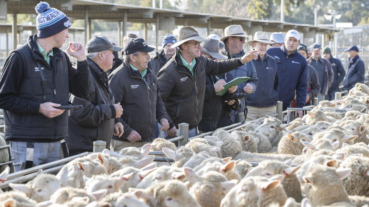 Abattoir shutdowns bite amid stock shortages