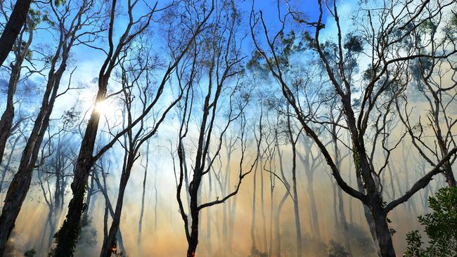 A fire is currently burning at Camp Kerr at Tin Can Bay, where Defence personnel are working alongside firefighters to control it. (File photo)