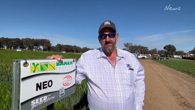 Warm weather for Henty Machinery Field Days