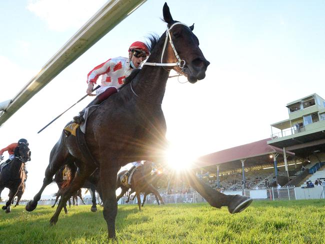 Ashley Morgan pushes Texas Storm on to win the 2021 South Grafton Cup for Bob Milligan. Photo: Trackside Photography.