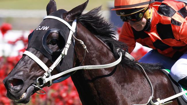 Hogmanay has a perfect record at Rosehill Gardens. Picture: Jenny Evans