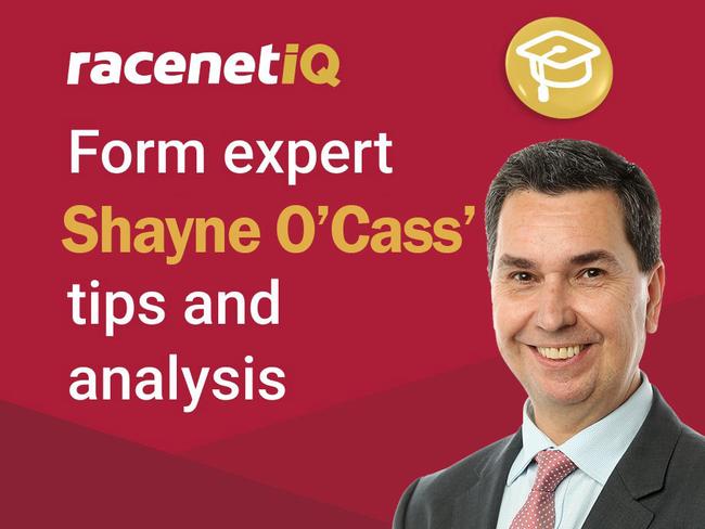 Racenet form analyst Shayne O'Cass.