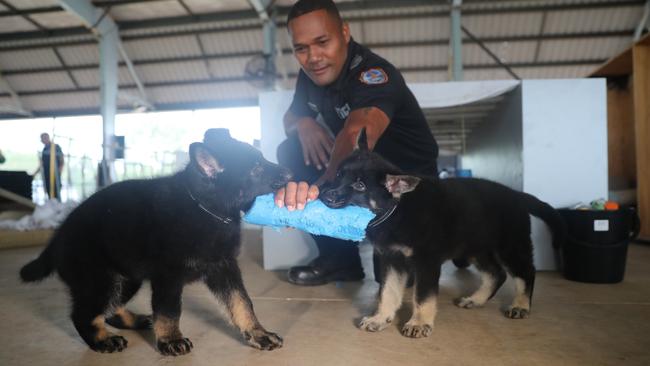 NT Police Dog Operations Unit officer Riva Zio with the squad's newest recruits, Axe and Jax.