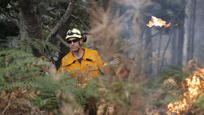 TFS crews conduct a controlled burn in Donnellys Road, Geeveston, to protect a house on Wednesday. Picture: RICHARD JUPE