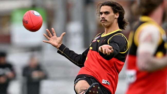 Fitzroy Stars’ Ashley Hood was one of the clubs’ best performers. Picture: Andy Brownbill