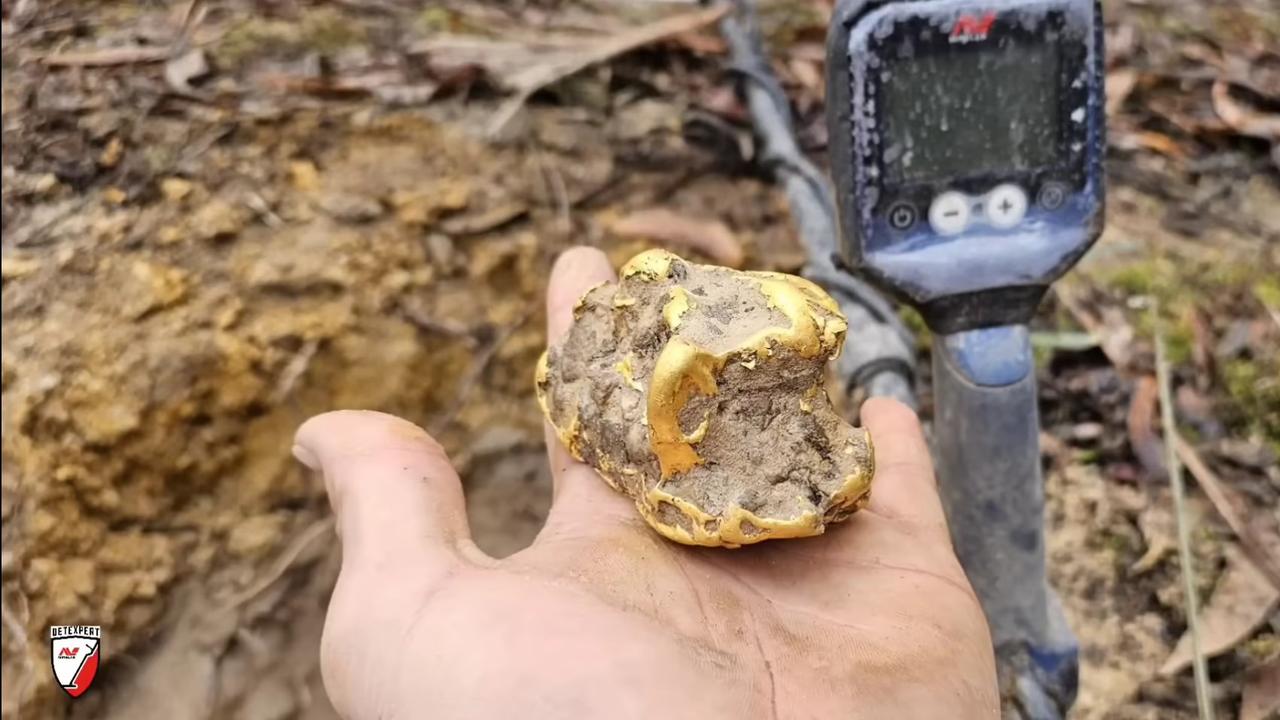 The nugget was found after Mr Phillips picked up a faint signal under a tree log with his metal detector. Picture: YouTube