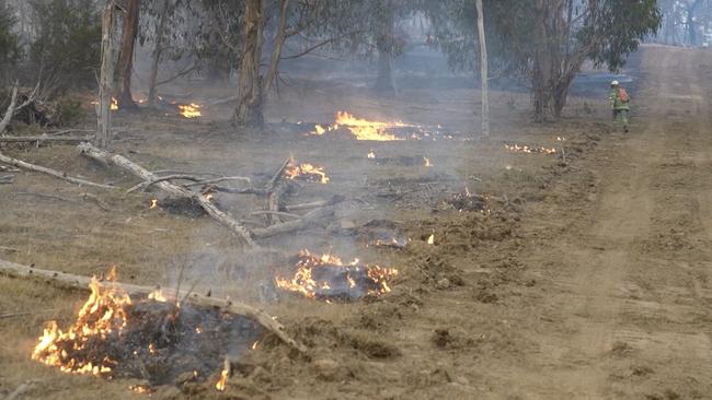 29/02/2024   Bayindeen-Rocky Road fire., aircraft, containment line construction, backburning and fire at night.  picture: Ballarat ICC