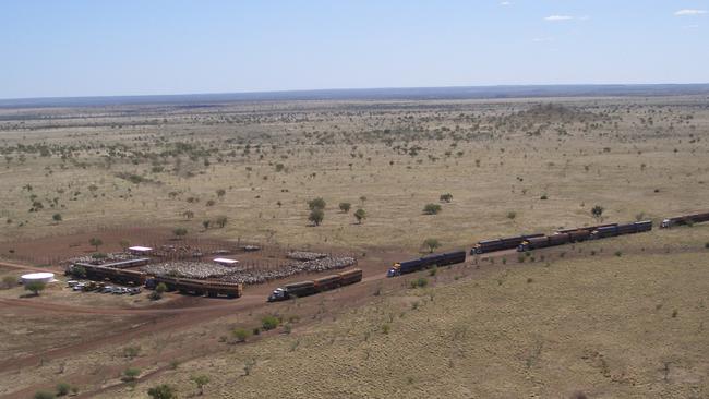 Wave Hill cattle station, which will be retain by Callum MacLachlan.