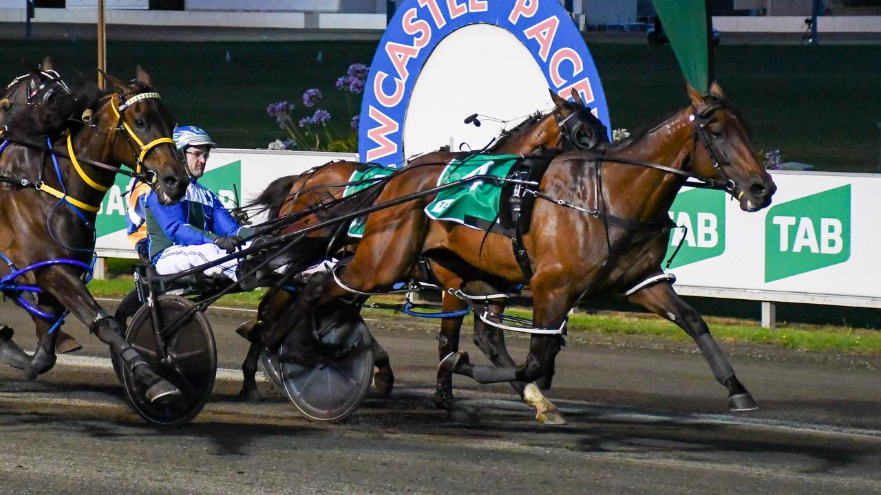 The Belinda McCarthy-trained and Luke McCarthy-driven Expensive Ego firmed into favouritism for the $500,000 Inter Dominion Final after drawing barrier 1. Picture: Courtesy of Club Menangle