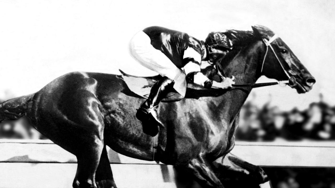 20/04/2005 PIRATE: Undated. Australian racehorse Phar Lap at Flemington. Horseracing.