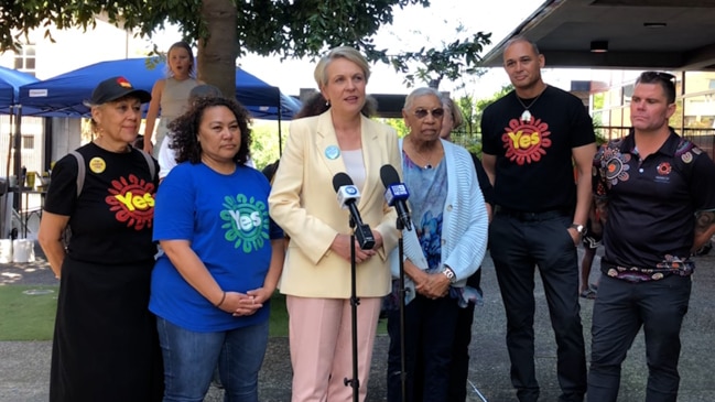 Plibersek rallies for last-minute Voice referendum votes