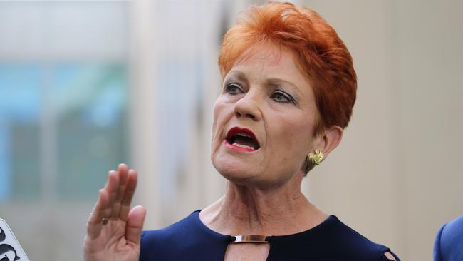 Pauline Hanson says the Coalition was spooked by Labor and the Greens over her “white” motion. Picture: Gary Ramage.