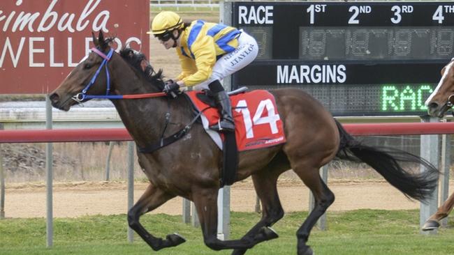 Just Go Bang resumes from a long spell but can pick up where he left off at Narrandera on Sunday. Picture: Bradley Photos
