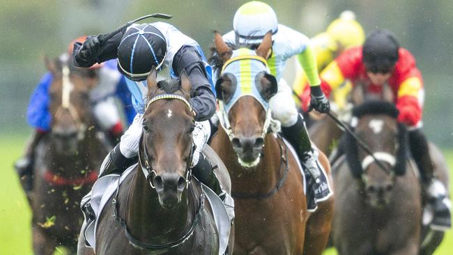 Bandersnatch has drawn wide in the last race. Picture: Getty Images