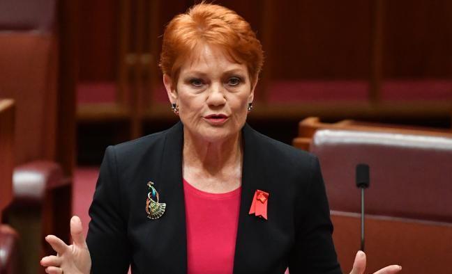 One Nation leader Senator Pauline Hanson called for an Australian identity card to stop welfare fraud. Picture: AAP Image/Mick Tsikas