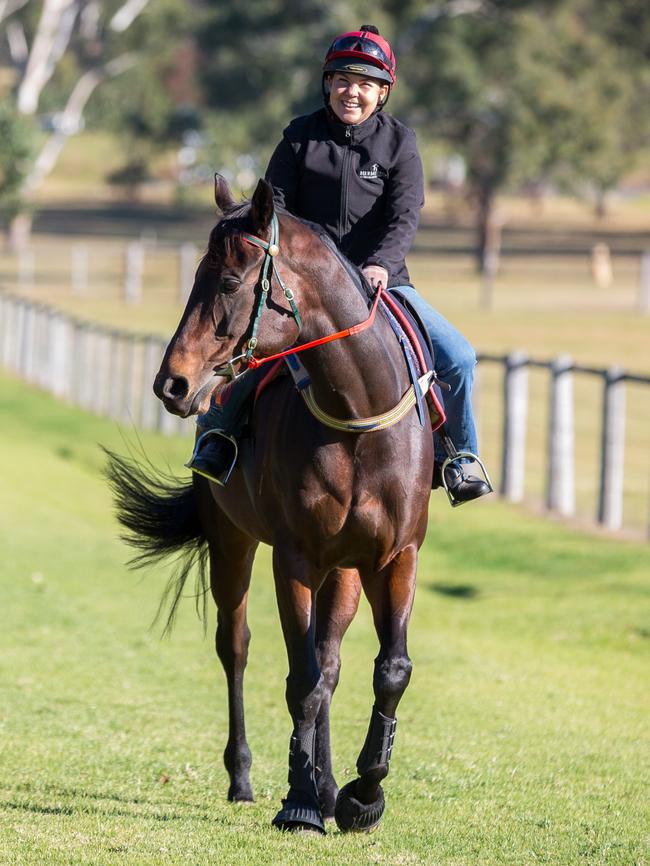 Winx in the paddock at her Hermitage stable home. Picture: Deborah Parsonage