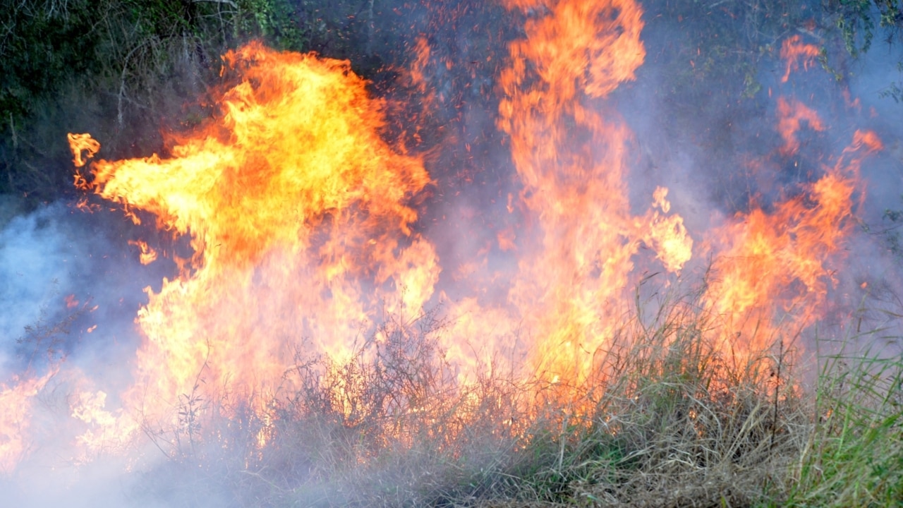 Two dead as Queensland bushfires worsen overnight | Sky News Australia