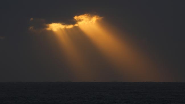 First light at Tamarama on Thursday morning. Picture: John Grainger