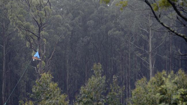 A lone protester against VicForests’ logging operations at Mt St Leonard in 2012. total harvest levels will be maintained at current levels to 2024, then cut by 25 per cent in 2025, and a further 25 per cent from 2026 to 2030.