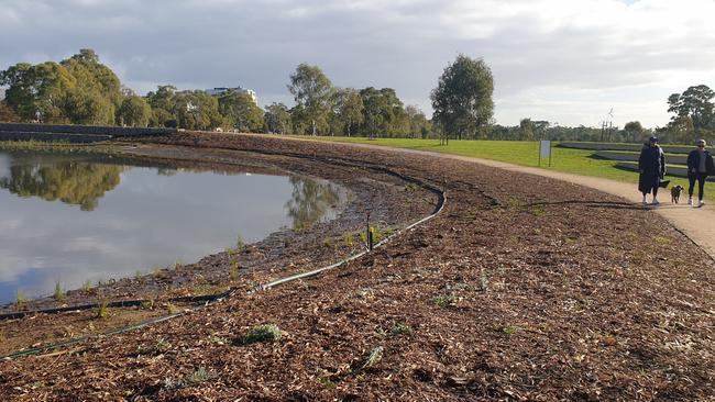 AFTER: The Victoria Park wetlands on June 1. Picture: Colin James