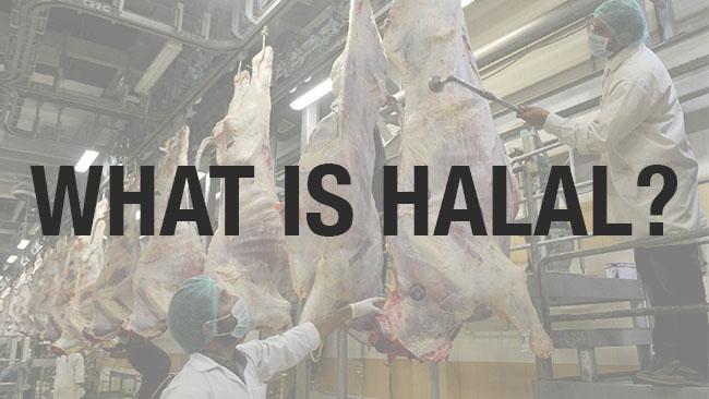 What is Halal?