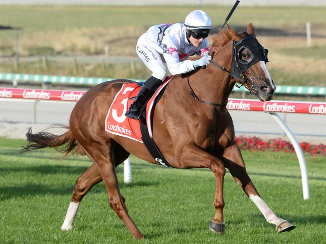 Stupendous ridden by Logan Bates wins the Designer Coolrooms Handicap at Cranbourne Racecourse on December 13, 2024 in Cranbourne, Australia. (Photo by Ross Holburt/Racing Photos via Getty Images)