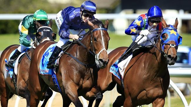 Atlantic Jewel alongside stablemate Super Cool in her last race, winning the Group 1 Caulfield Stakes.