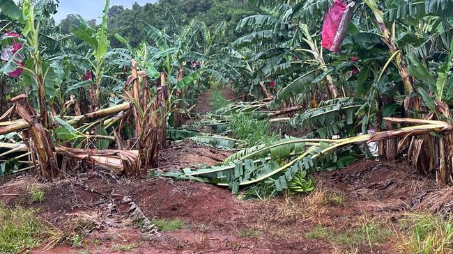 No one denies Ex-Tropical Cyclone Jasper caused great damage, but the science doesn’t back up claims it could be attributed to climate change. Picture: Antony Joseph