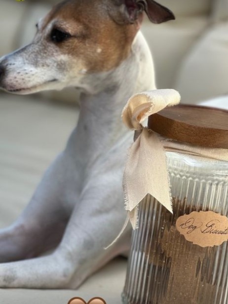 Dog biscuits are also in the line-up.