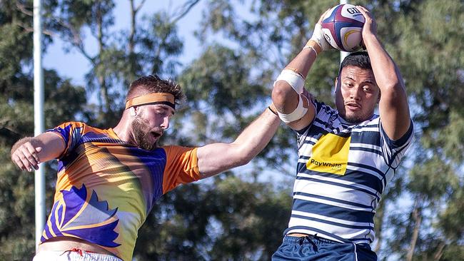 Brothers no.8 Christian Savelio with the ball as Sunnybank vs Brothers at Macgregor, Saturday October 3, 2020. (Image Sarah Marshall)