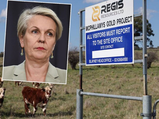 Tanya Plibersek only sought advice on the legal status of a public road impacted by her eleventh-hour ban on a mine site following inquiries from The Daily Telegraph