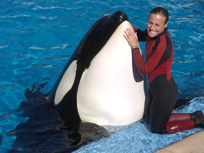 Killed ... Whale trainer Dawn Brancheau was killed in an accident with a killer whale at the Shamu stadium in 2010. Picture: Supplied