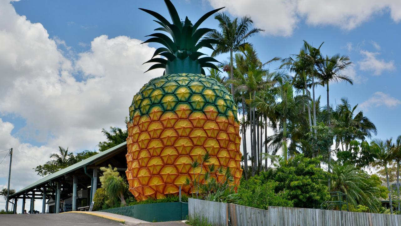 The Big Pineapple at Woombye is open every day from 9am-4pm.