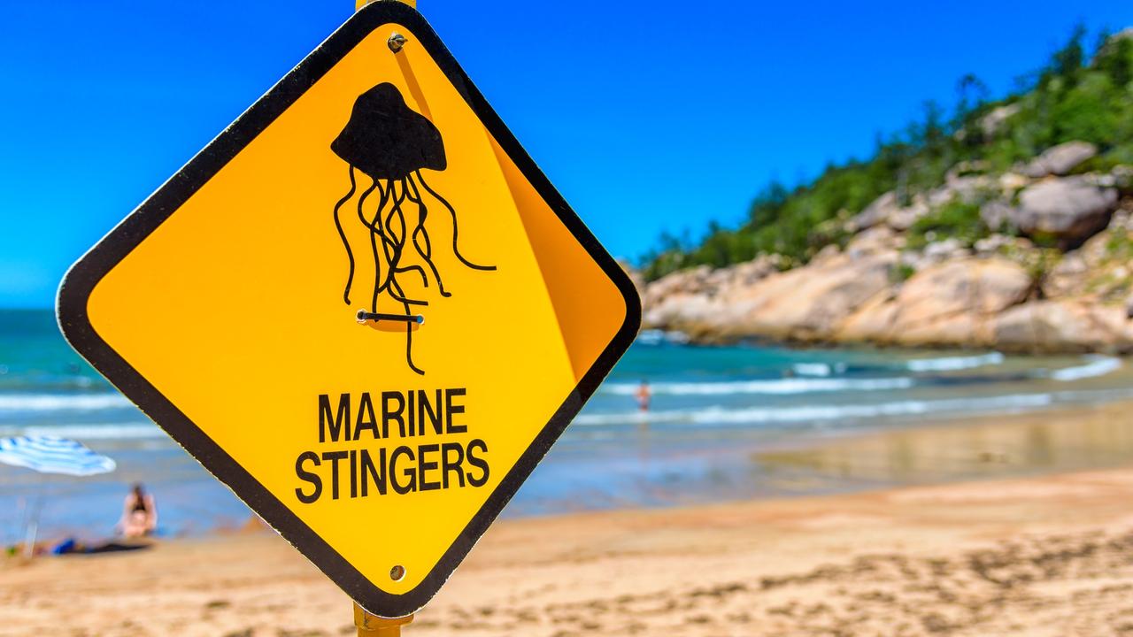 A sign on the beach to warn swimmers in Queensland Australia of marine stingers in the water. Picture: istock