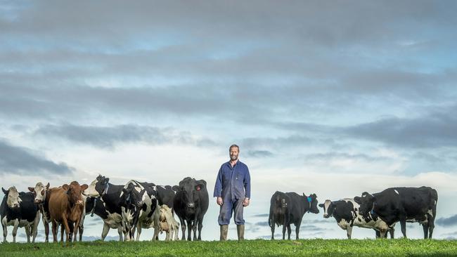 The milk industry is suffering because of low milk prices. Picture: Jason Edwards