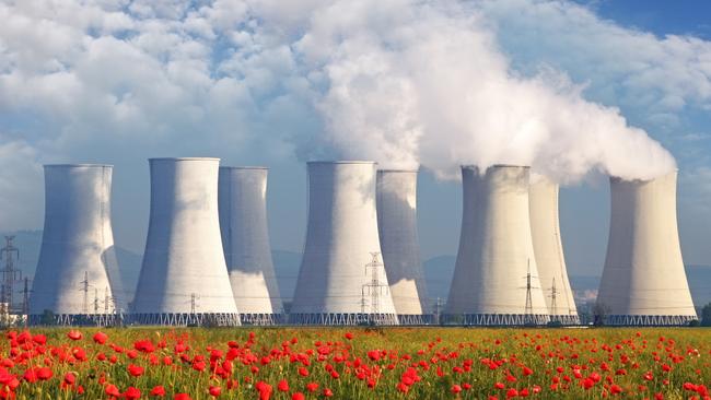 ’The nuclear industry lacks a single example in a Western country of a new power plant being built remotely on time and budget.'