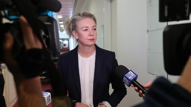 Emergency Management and National Recovery and Resilience Minister, Bridget McKenzie, Picture: NCA NewsWire/Gary Ramage