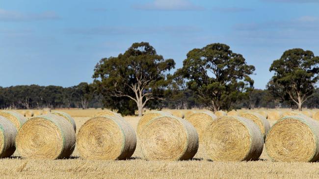 Waiting game: With prices sliding further, fodder sellers are comfortable knowing they can sell off their hay stocks next season.