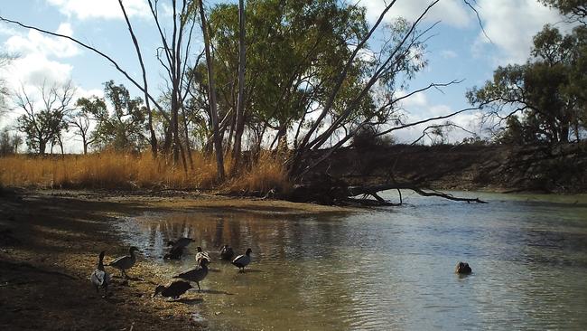 Low levels in the River Murray on the Chowilla floodplain between mid-May and July 2018. Picture: Department for Environment and Water