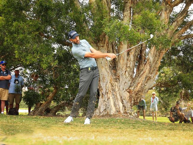 A mature tree at the Royal Sydney Golf Club. Australian Open 2016. Picture: Mark Evans