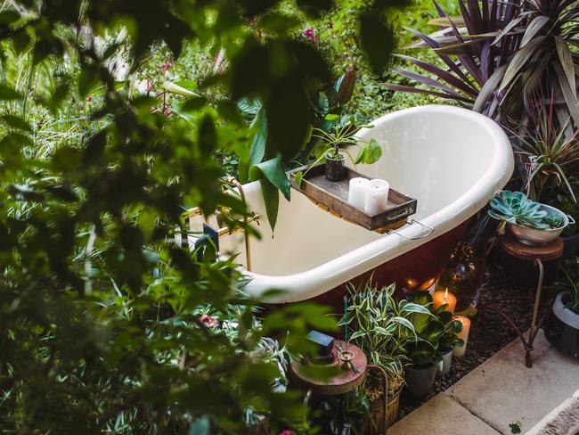 Indoor plants are a great way to connect to nature and reduce anxiety.