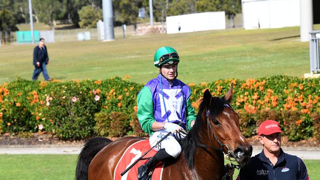 Jake Bayliss on Picka Plum at Corbould Park, Caloundra, in 2019.