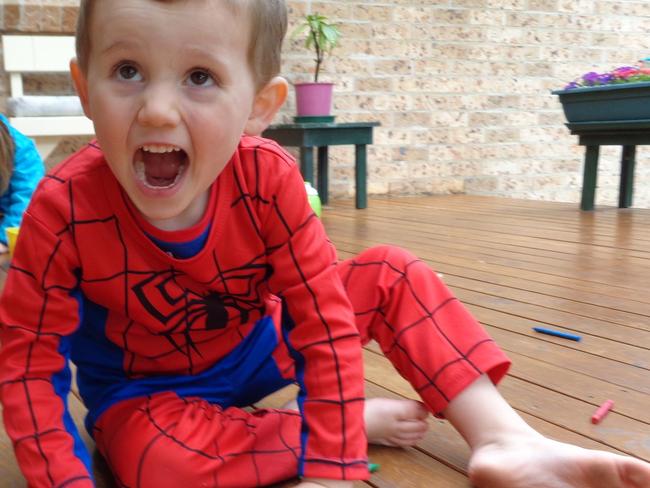 Photo showing missing child William TyrrellPhoto courtesy of NSW Police