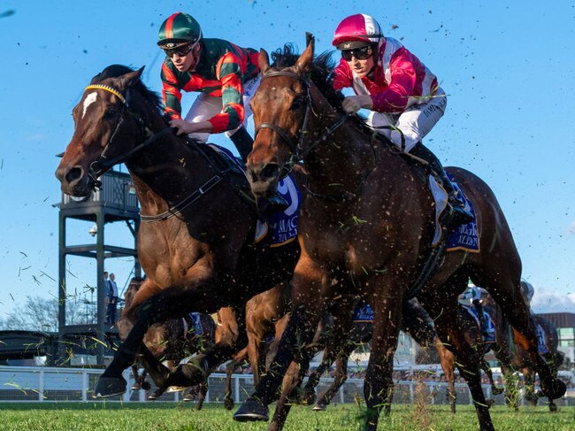 Western Empire is set to make his stable debut for John Leek Jnr (Photo by Vince Caligiuri/Getty Images)