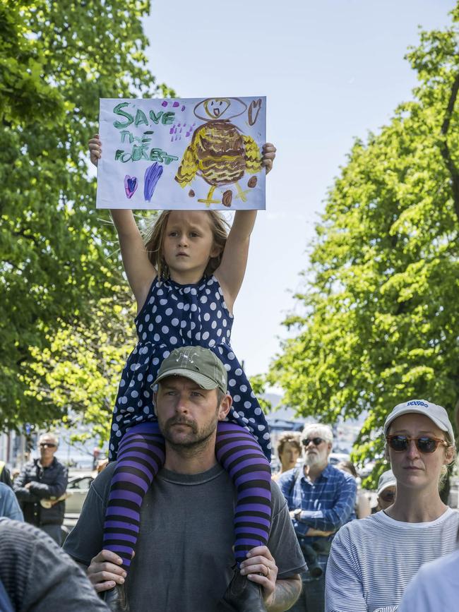 Rally for forests at Parliament House Lawns in Hobart. Picture: Caroline Tan