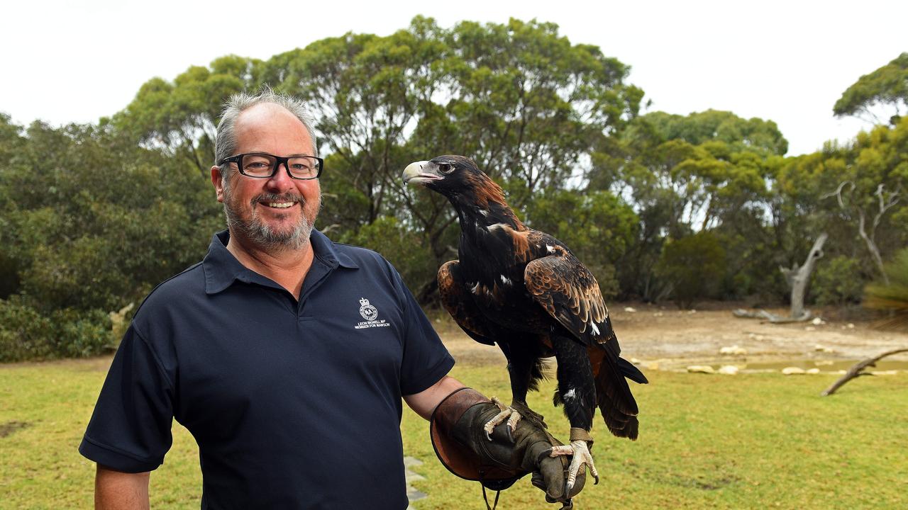 Leon Bignell with a raptor during a visit to Kangaroo Island. Picture: TOM HUNTLEY