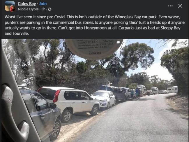 Cars parked along nature park on January 3 showing peak season